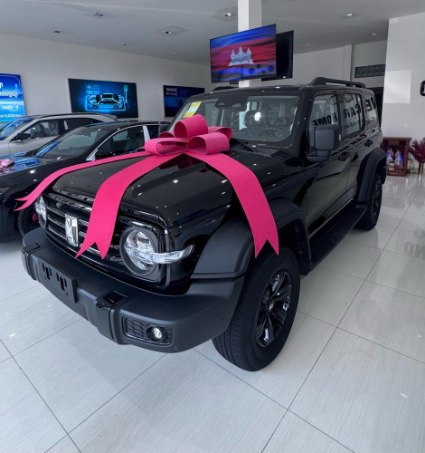 GWM Tank 300 2025 4WD ទើបមកដល់ក្ដៅៗ