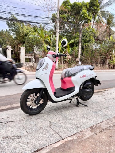 HONDA SCOOPY CLUB 2021 แแแแแแผแ แแแแถแแแธ