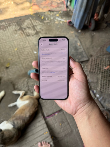 iPhone 15 256G