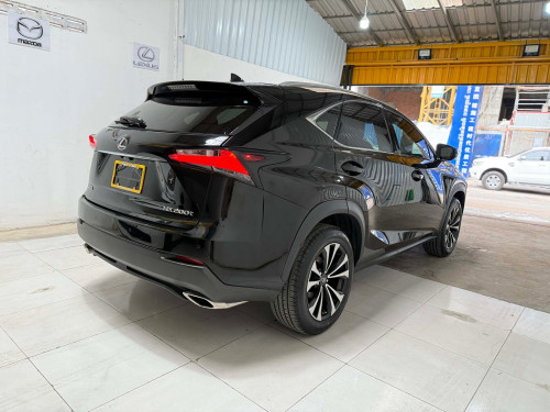 Nx200t 2016 f sports P1 3 bottom
