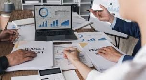 Professional Tax Agent - small and medium business