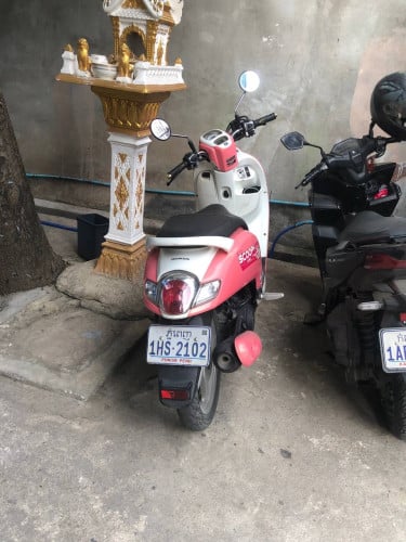 Scoopy