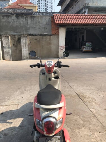Scoopy