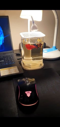tank + 1 fish = 6$