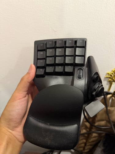TARTARUS PRO Rarely used.