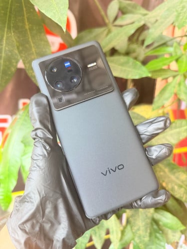 Vivo x80pro