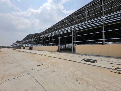 Warehouse 10000m2 at Sensok for rent