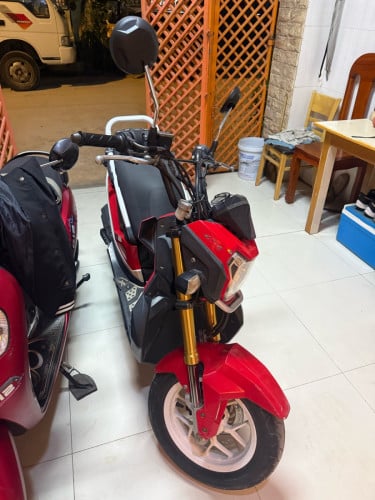 Zoomer X017