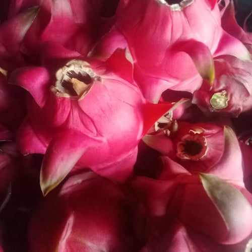 លក់រាយបោះដុំ