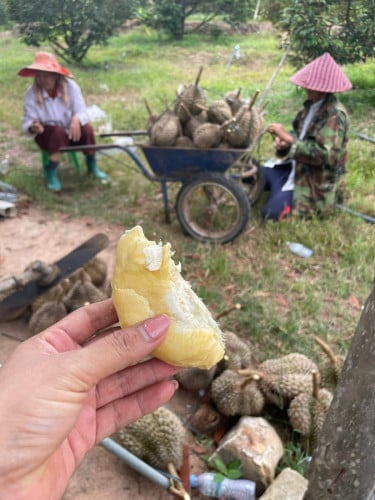 ធុរ៉េន