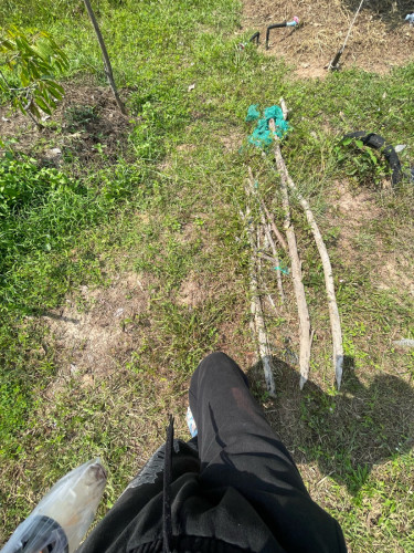 ធុរ៉េន