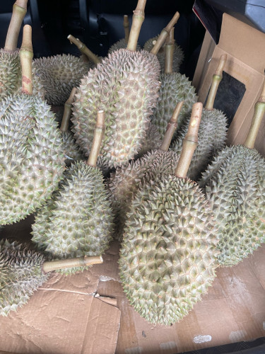 ធុរ៉េន