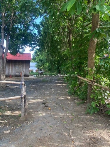 ដីលក់ អង្គស្នួល