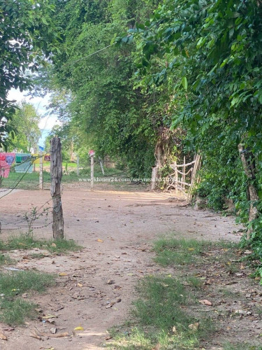 ដីលក់ អង្គស្នួល