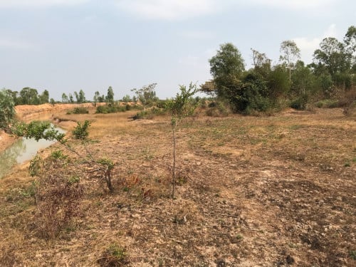 ដីជួលនៅជិតផ្លូវ៥១