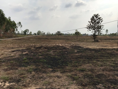 ដីជួលនៅជិតផ្លូវ៥១