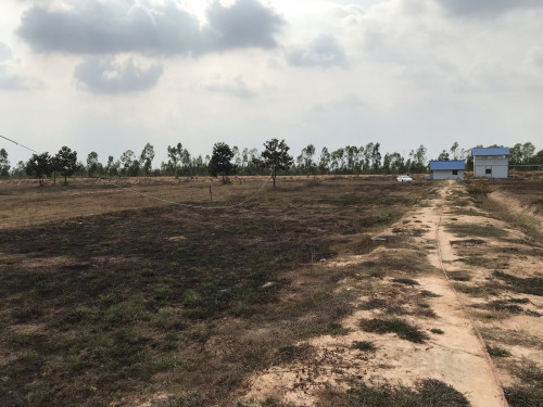 ដីជួលនៅជិតផ្លូវ៥១