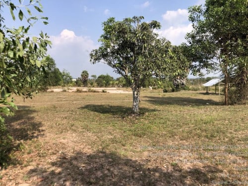 ដីលក់បន្ទាន់