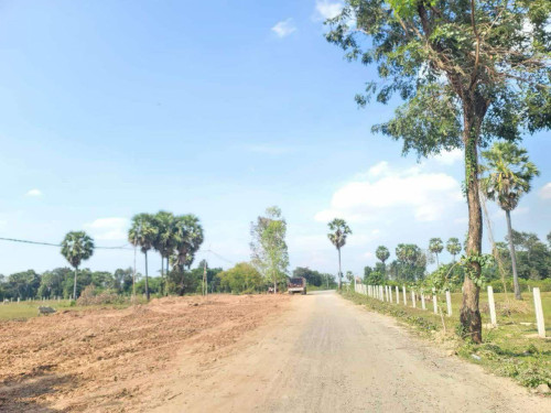 ដីលក់បន្ទាន់