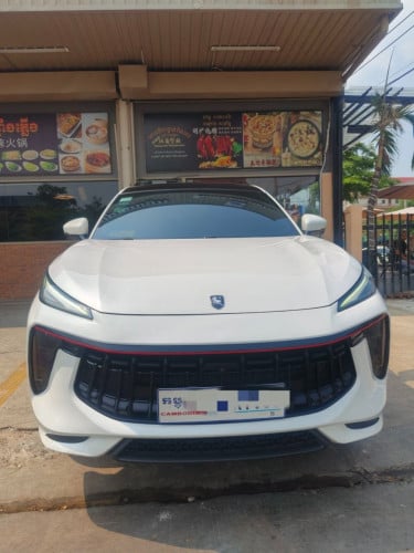 Cool DONGFENG FORTHING Luxurious choice