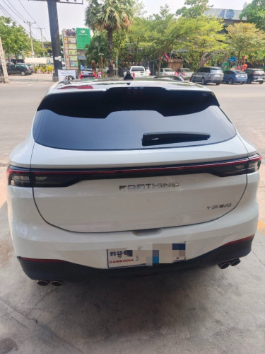 Cool DONGFENG FORTHING Luxurious choice