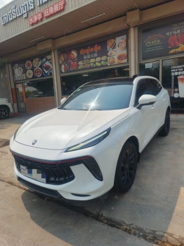 Cool DONGFENG FORTHING Luxurious choice