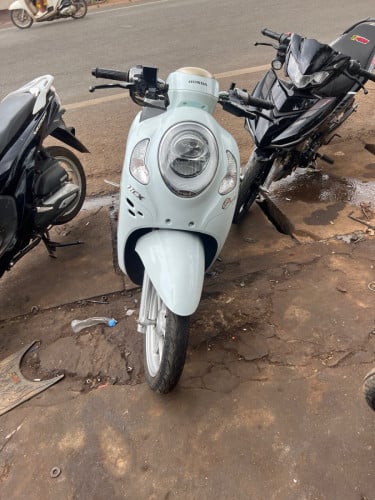Honda. Scoopy. ម្ចាស់ដើម