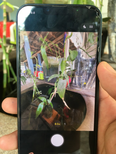 iPhone 13 CH/A 128G សំណុំសុីនអត់ស្កេន ដានអេក្រងតិច ការប្រើប្រាស់ទូទៅ ✔️ តម្លៃ 200$
