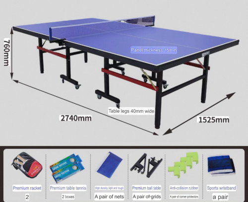 New Pingpong table
