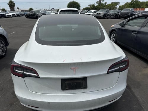 Tesla 2019 model 3