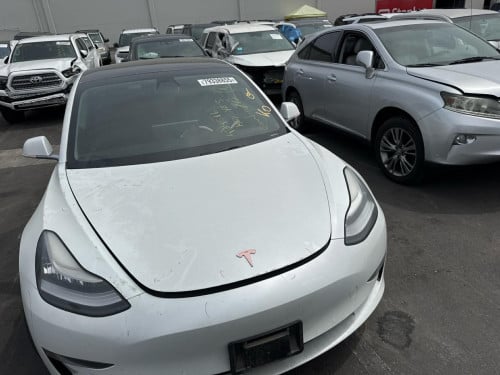 Tesla 2019 model 3