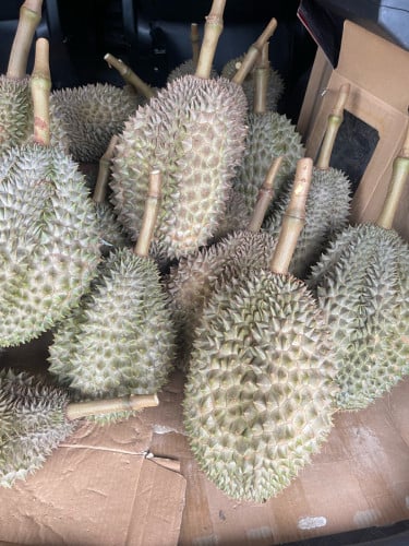 ធុរ៉េន