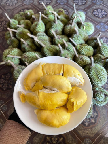 ធុរ៉េន