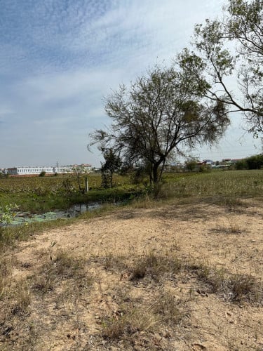 ដីលក់​ ម្ចាស់ផ្ទាល់