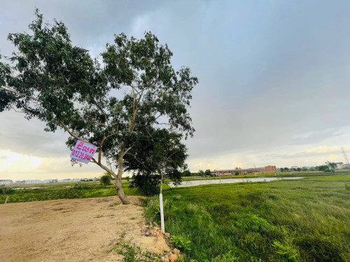 ដីលក់​ ម្ចាស់ផ្ទាល់