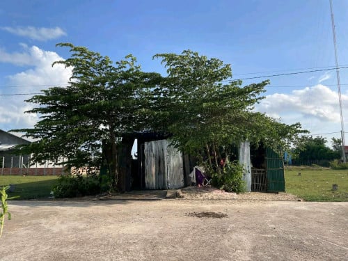 លក់ដី