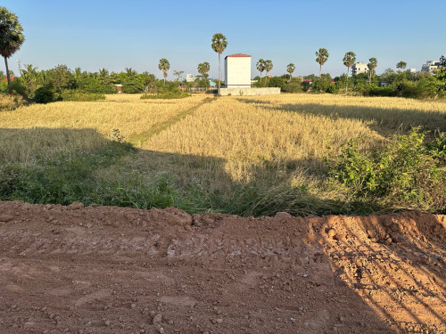 ដីលក់