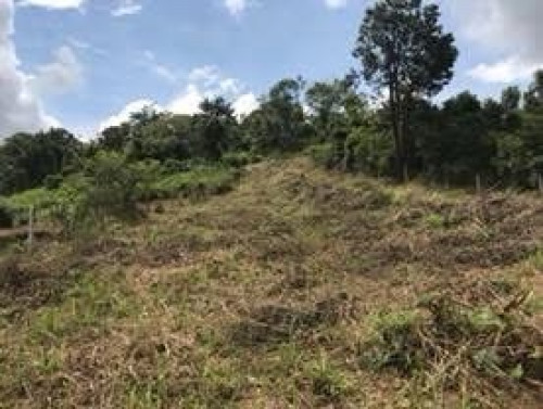 ដីលក់បន្ទាន់នៅភូមិពូជ្រៃ សង្កាត់រមនា ក្រុង សែនមនោរម្យ ខេត្តមណ្ឌលគិរី ក្បាល​ 27ម  បណ្ដោយ​  50ម