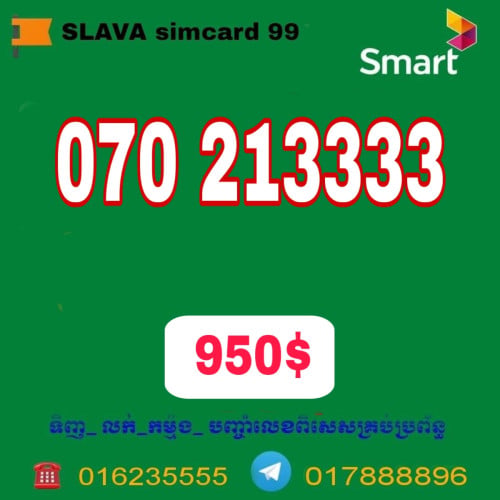 Number for sale 070213333