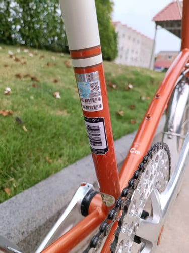 Rare/Collectible Mini Velo Dahon - Calm