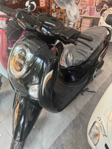 Scoopy 2026