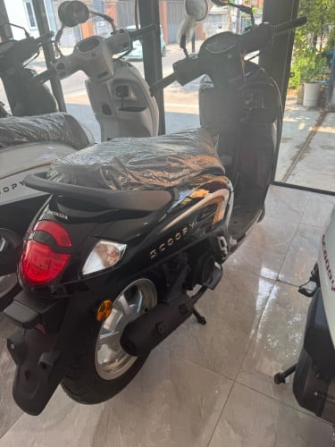 Scoopy 2026