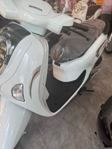 Scoopy 2026