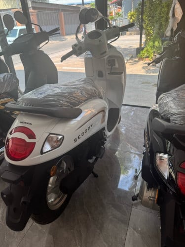 Scoopy 2026