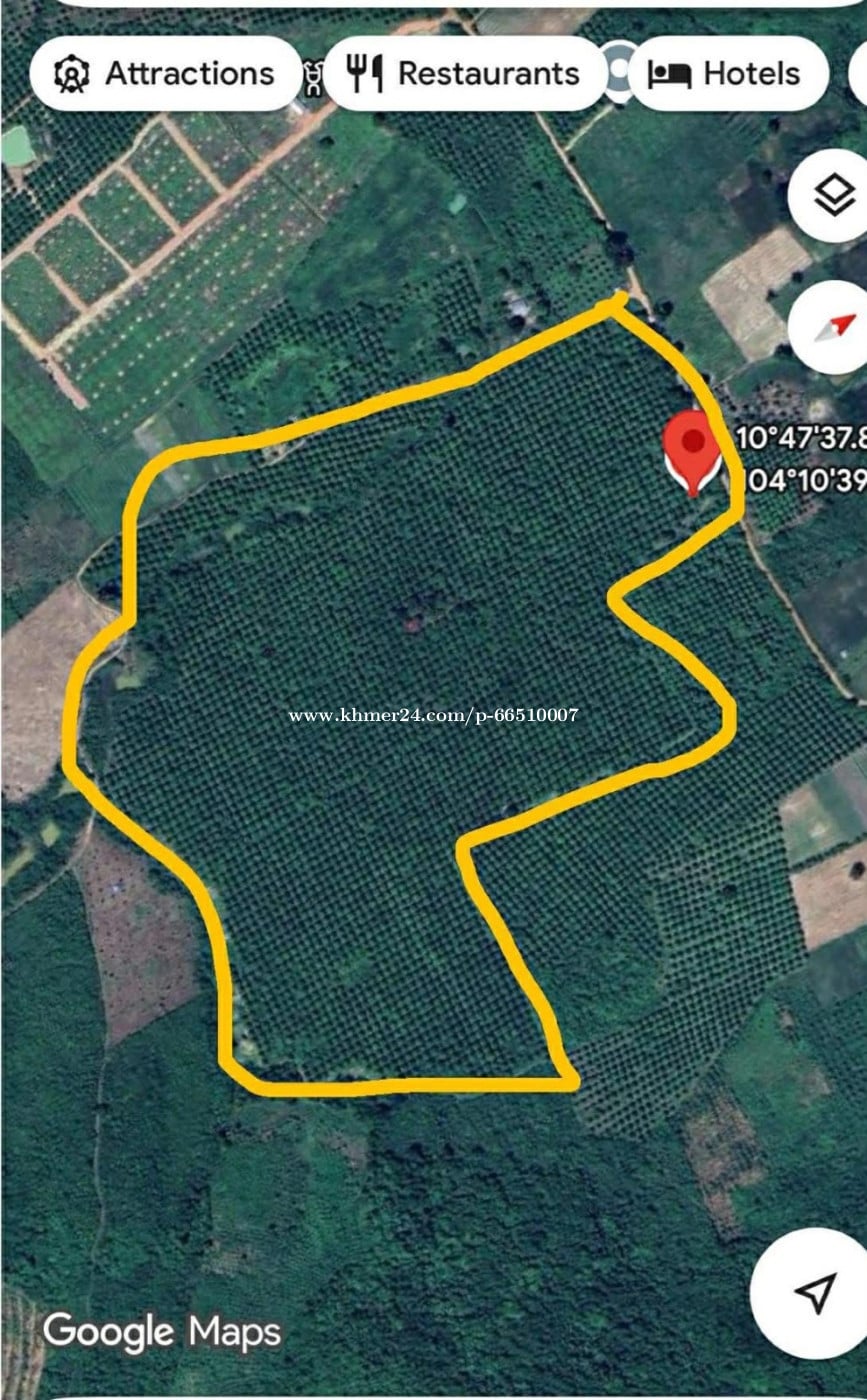 land for sale