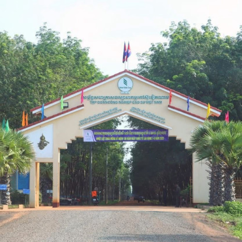 ដីជាប់ថ្នល់ជាតិ