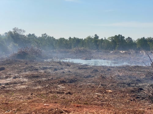 ដីលក់ជាប់សមុទ្រ