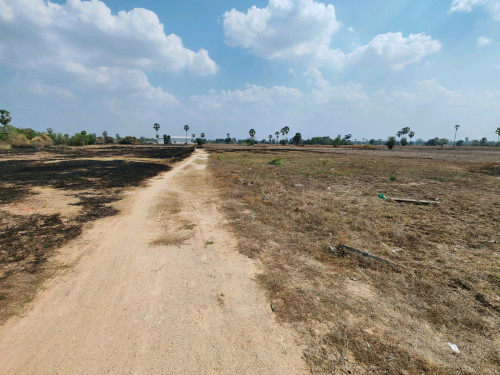 ដីលក់