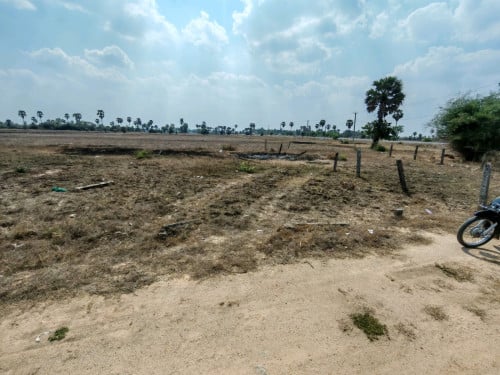ដីលក់