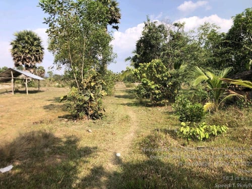 ដីលក់បន្ទាន់